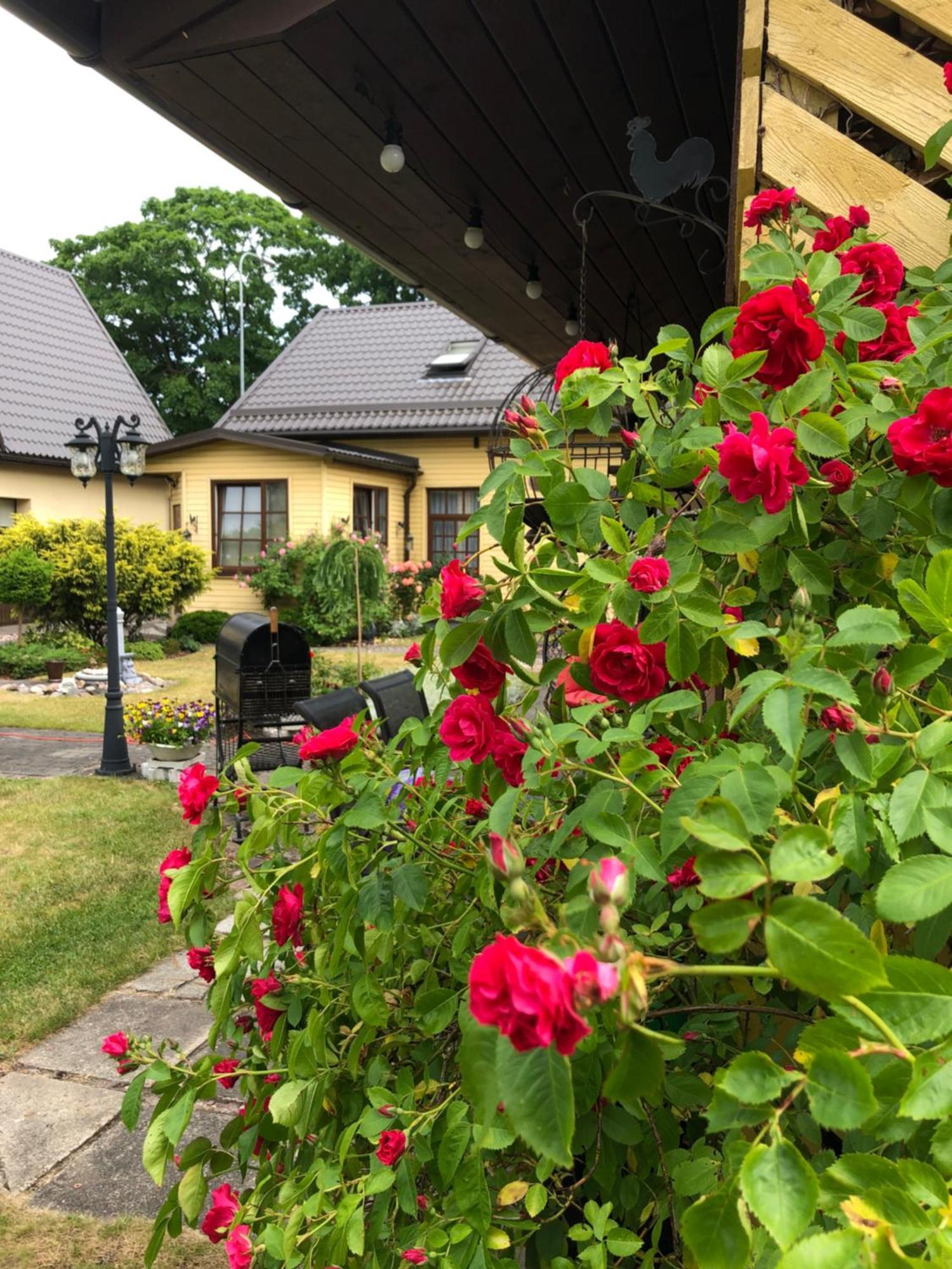 Anni Apartment Ventspils Luaran gambar